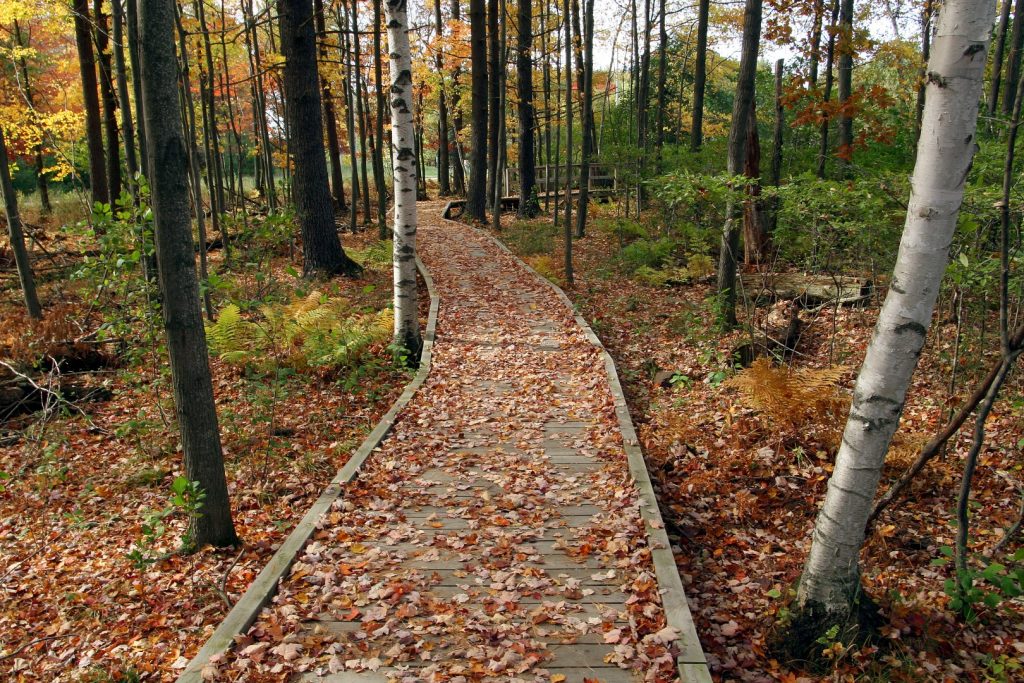 Trails | Wisconsin Conservation Hall of Fame