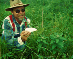 Eldred discovered a rare Green Fringed Orchid in Green County, WI. Circa 1985. Photo by Rob Baller.