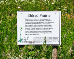 Eldred was honored by The Prairie Enthusiasts with the naming of a prairie for him. 2011. Photo by Gary Eldred.