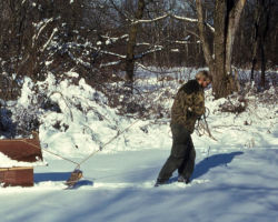 Eldred installing Wood Duck boxes in the Albany Wildlife Area, WI. 1974. Photo by Larry Johnson.