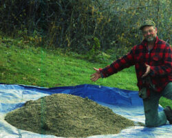 Prairie seed collected by the Southwest Wisconsin Chapter of TPE. 2001. Photo courtesy of Gary Eldred.
