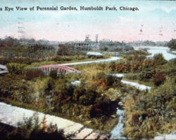 Jensen designed landscaping in Humboldt Park, Chicago, IL. Photo courtesy of William Tishler.