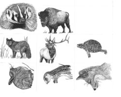 Drawings by Gary Eldred.