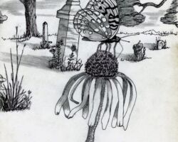 Drawings by Gary Eldred.