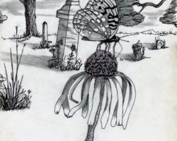 Drawings by Gary Eldred.