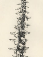 Drawing by Gary Eldred.