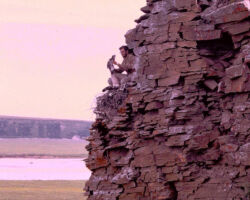 Temple banding nestling Rough-legged Hawks in arctic Alaska. 1968. Photo courtesy of The Peregrine Fund.