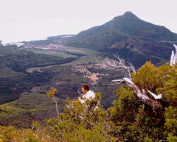 Temple searching for the last 7 Mauritius Kestrels in remnant forests of Mauritius. 1972. Photo by S. Temple.
