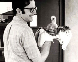 Temple with the first bird ever bred via artificial insemination with imprinted parents. 1970. Photo courtesy Cornell University.