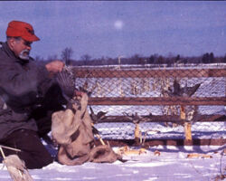Frederick Hamerstrom with Grouse.