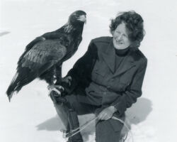 Frances Hamerstrom handling an Eagle. Photo courtesy of Wisconsin Conservation Department.