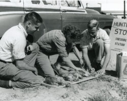 Frederick and Frances Hamerstrom checking Grouse hunters. October 1953. Photo courtesy of Wisconsin DNR.