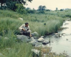 Germain at Bluff Creek in Walworth County, WI. Circa 1960s. Photo courtesy of WI DNR.