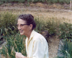 Aroline Schmitt in her garden near West Bend, WI. Circa 1960s. Photo by Max Schmitt.