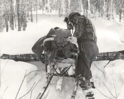 Johnson with dogsled. Photo courtesy of Douglas Johnson.