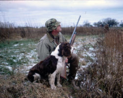 Johnson and Springer Spaniel, Chips, in the 1970s. Photo courtesy of Douglas Johnson.