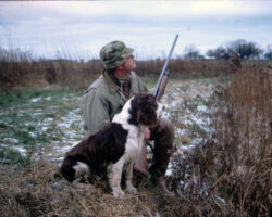Johnson and Springer Spaniel, Chips, in the 1970s. Photo courtesy of Douglas Johnson.