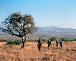 Johnson was encourged by the Milwaukee Journal Sentinel to travel the world and write about his adventures. In 1984 he travled to Kenya. Photo by George Cassidy.