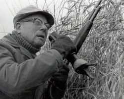 Owen Gromme calling geese in the Horicon Marsh with a call he created. 1967. Photo courtesy of the Wisconsin DNR.