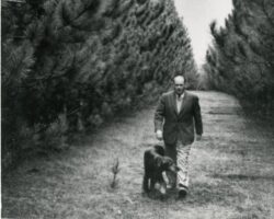 Melvin "Mully" Taylor and Copper in a plantation prior to thinning. 1958. (Photo courtesy of Trees for Tomorrow.)