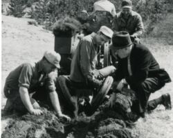 Mully Taylor (right) behind a mechanical tree planter putting in the milestone ten-millionth tree planted by Trees for Tomorrow. 1962. (Photo courtesy of Trees for Tomorrow.)