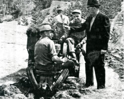 Mully Taylor marking the milestone of the ten-millionth tree planted by Trees for Tomorrow. 1962. (Photo courtesy of Trees for Tomorrow.)