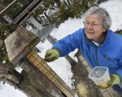 Charlotte Lukes refills a bird feeder with a homemade concoction of lard and peanut butter she calls "Marvel" to feed the birds at her Egg Harbor home. The large feeder in the background was constructed by her late husband Roy. 2018. Photo by Tina M. Gohr/USA TODAY NETWORK-Wisconsin.