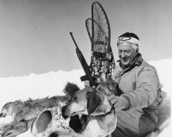 Governor Warren P. Knowles participates in coyote hunt. 1967. Photo by Staber W. Reese. Courtesy of UW-Madision Digital Archives.