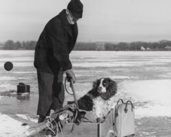 Ernest Swift ice fishing for perch on Lake Mendota with his springer spaniel. 1947. Photo by Staber W. Reese. Courtesty of UW-Madison Digital Archives.