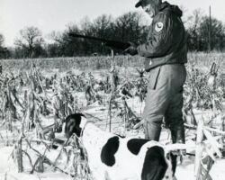 Warren Knowles hunting pheasants. 1966. Photo by Staber W. Reese, Wisconsin DNR.