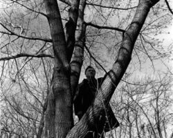 Forest W. Stearns helped lead foresters toward an ecological perspective. (Photo courtesy of UW-Milwaukee.)