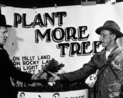 Taylor (left) was Director of Trees for Tomorrow. It began as a nonprofit organization to promote reforestation with financial support from nine paper mills in the Upper Wisconsin River Valley.