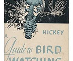 Out of print but still findable, Hickey’s 1943 book promotes WATCHING birds and the joy that comes from studying their behavior, migration, distribution, songs, and more. (Photo courtesy of Susi Hickey Nehls.)