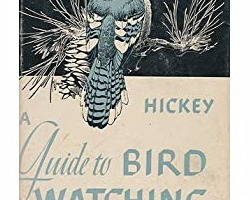 Out of print but still findable, Hickey’s 1943 book promotes WATCHING birds and the joy that comes from studying their behavior, migration, distribution, songs, and more. (Photo courtesy of Susi Hickey Nehls.)