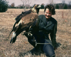 Frances with Eagle. Circa 1960s/1970s. (Photo courtesy of Harv Radke.)