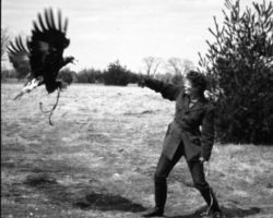 Frances with Eagle. Circa 1960s/1970s. (Photo courtesy of Harv Radke.)