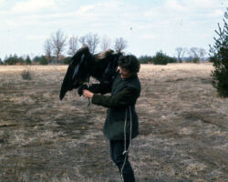 Frances with Eagle. Circa 1960s/1970s. (Photo courtesy of Harv Radke.)