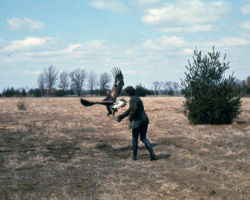 Frances with Eagle. Circa 1960s/1970s. (Photo courtesy of Harv Radke.)