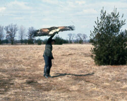 Frances with Eagle. Circa 1960s/1970s. (Photo courtesy of Harv Radke.)