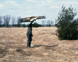 Frances with Eagle. Circa 1960s/1970s. (Photo courtesy of Harv Radke.)