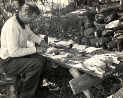 Frederick Hamerstrom preparing museum skins of sharp-tailed grouse. (Photo courtesy of Elva Hamerstrom Paulson.)