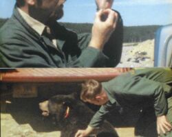 Newfoundland and Labrador Wildlife Division, 1969